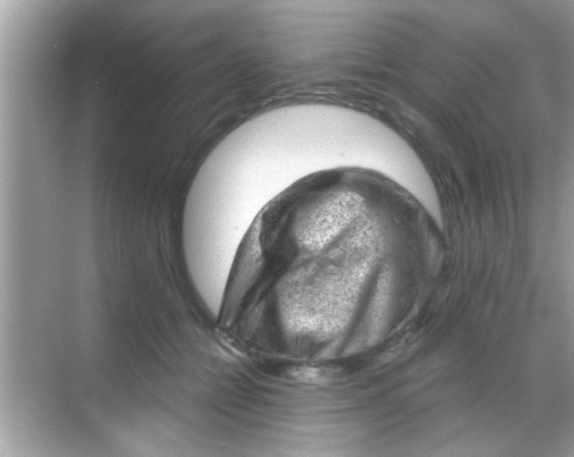 X0000068280558200605051844