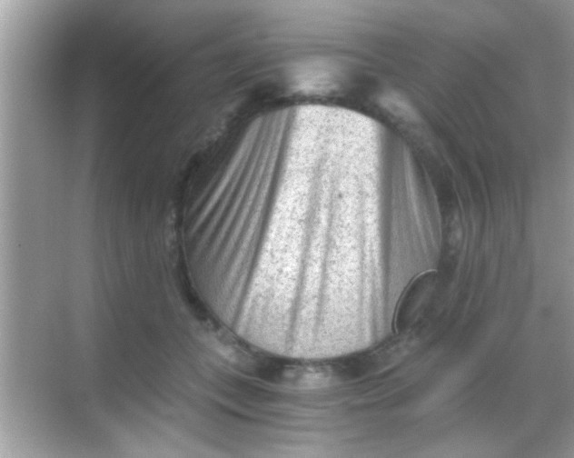 X0000068280559200605051844