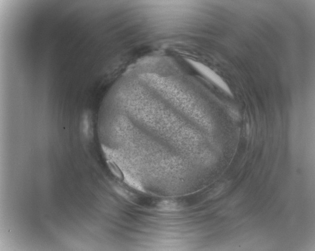 X0000068280562200605051844