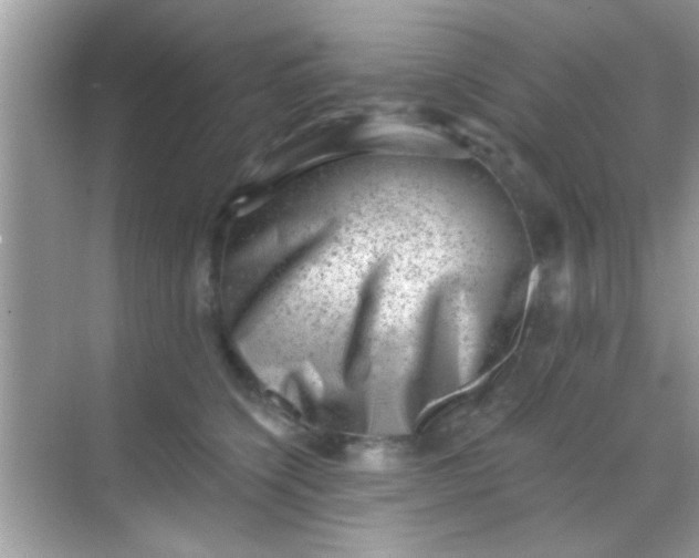 X0000068280564200605051844