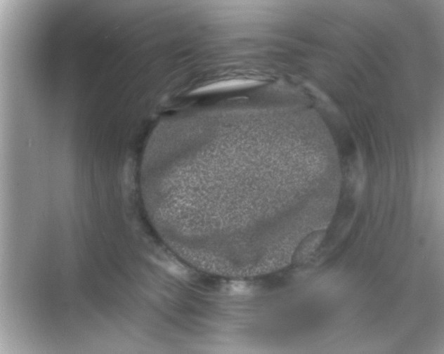 X0000068280565200605051844