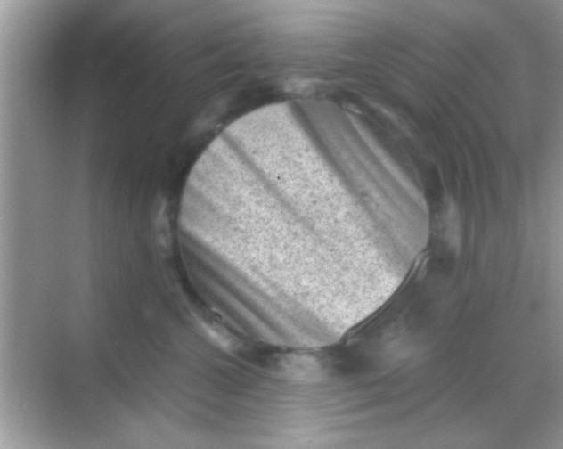 X0000068280572200605051844