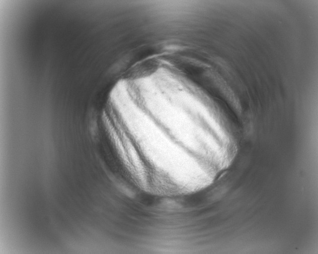 X0000068280573200605051844