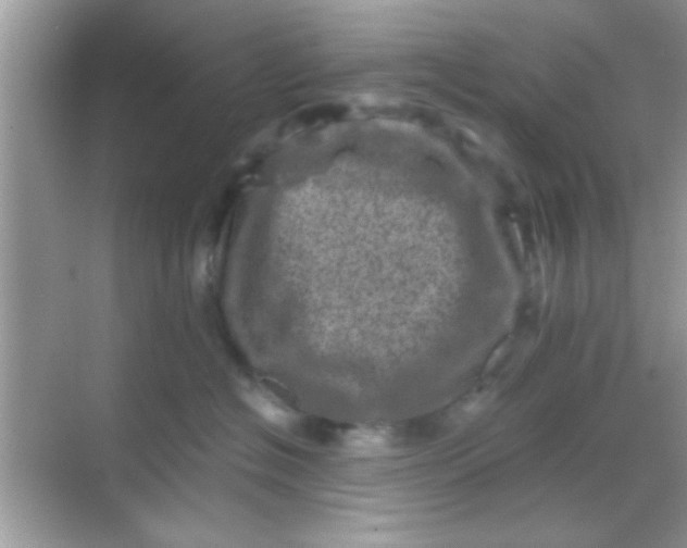 X0000068280574200605051844