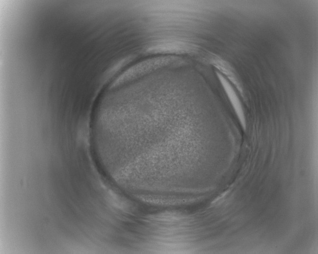 X0000068280578200605051844