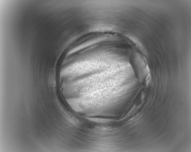 X0000068280582200605051844