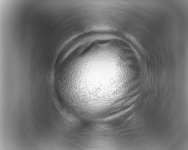 X0000068280583200605051844