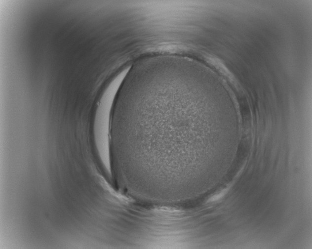 X0000068280585200605051844