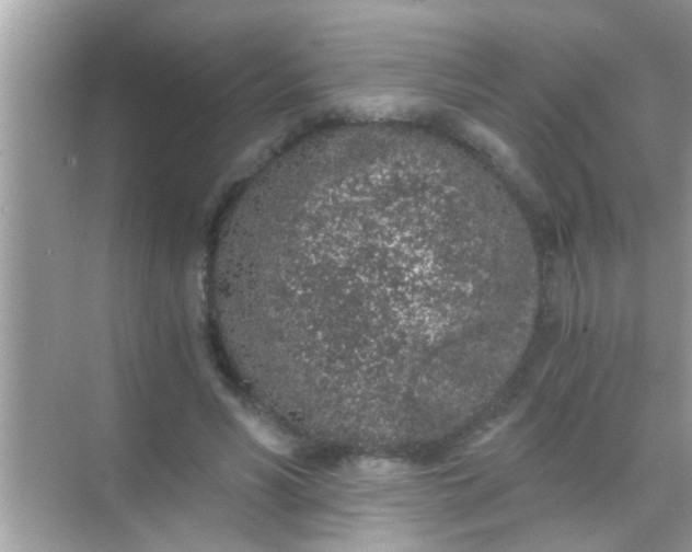 X0000068280590200605051843