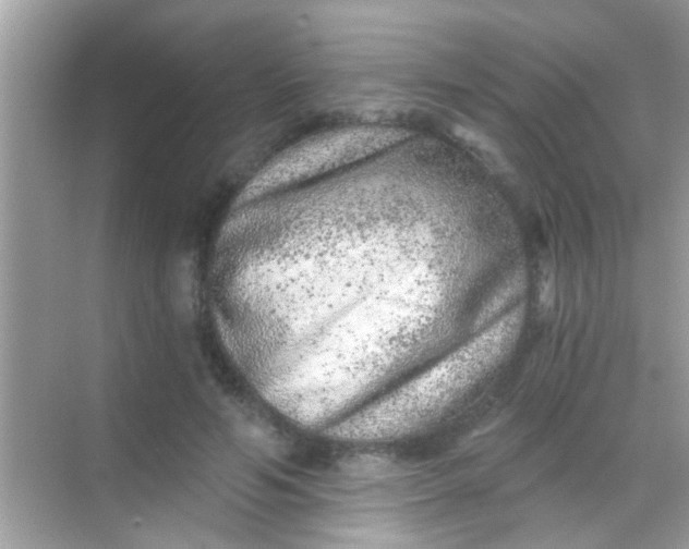 X0000068280594200605051843