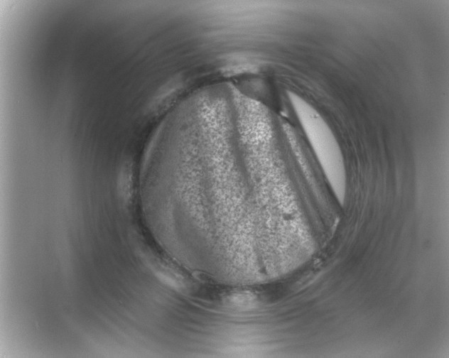 X0000068280600200605051843