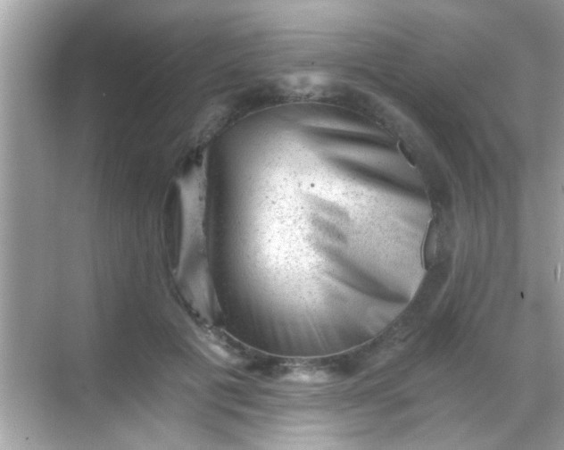 X0000068280601200605051843