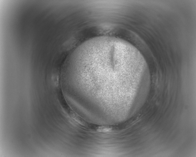 X0000068280602200605051843