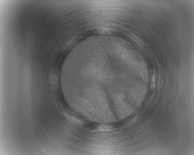 X0000068280603200605051843