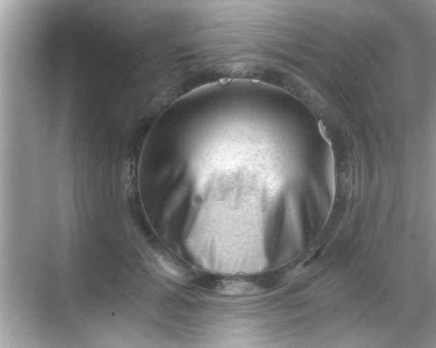 X0000068280605200605051843