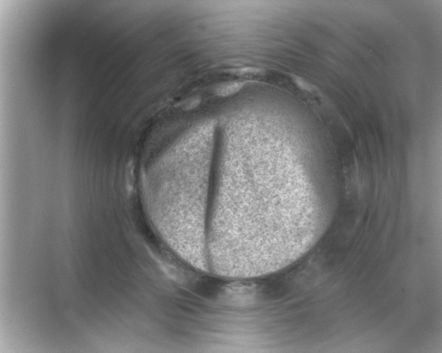 X0000068280606200605051843