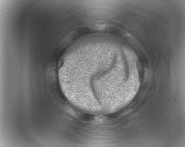 X0000068280612200605051843