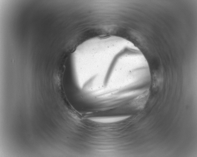 X0000068280613200605051843