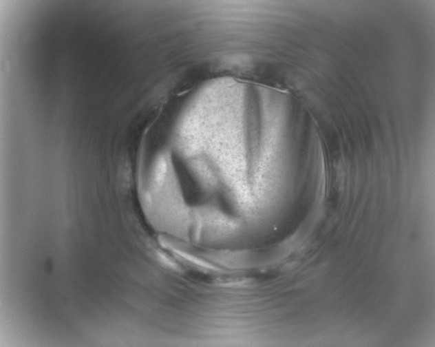 X0000068280617200605051843