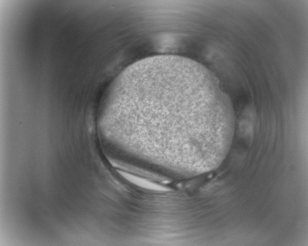 X0000068280620200605051843