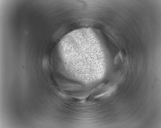 X0000068280623200605051843