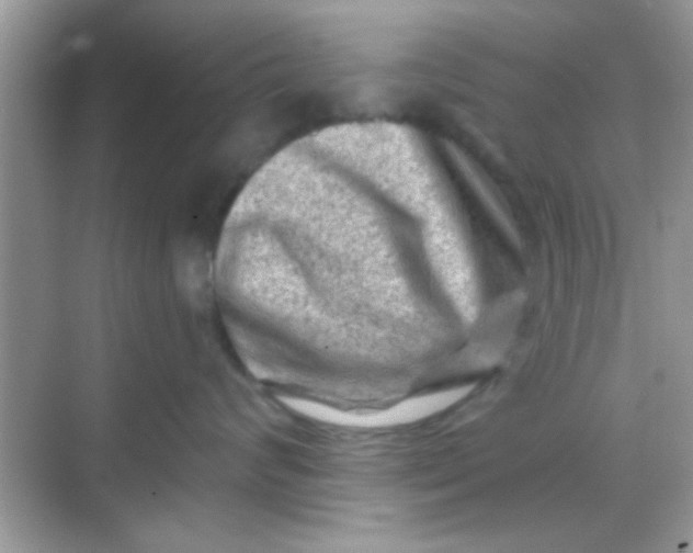 X0000068280624200605051843