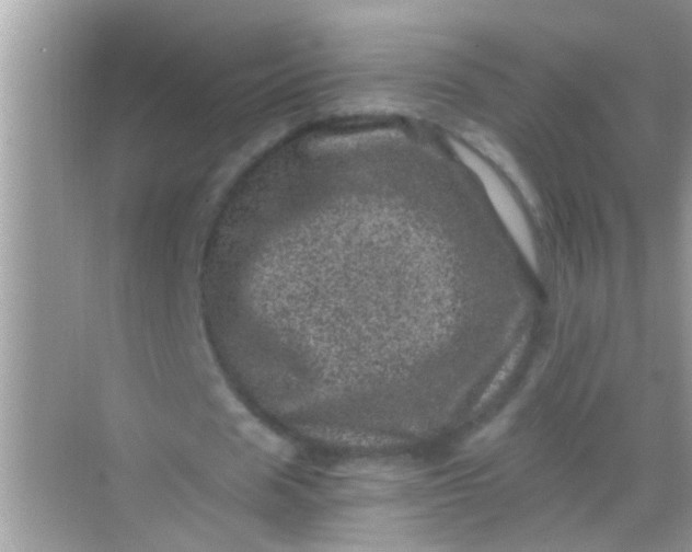 X0000068280625200605051842