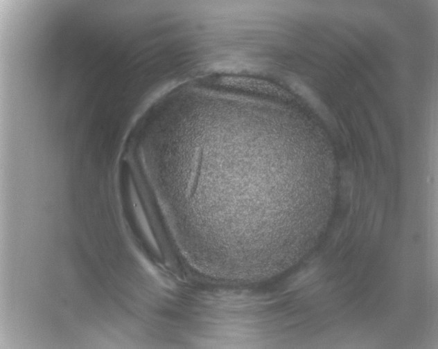 X0000068280626200605051842