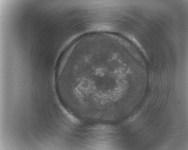 X0000068280629200605051842