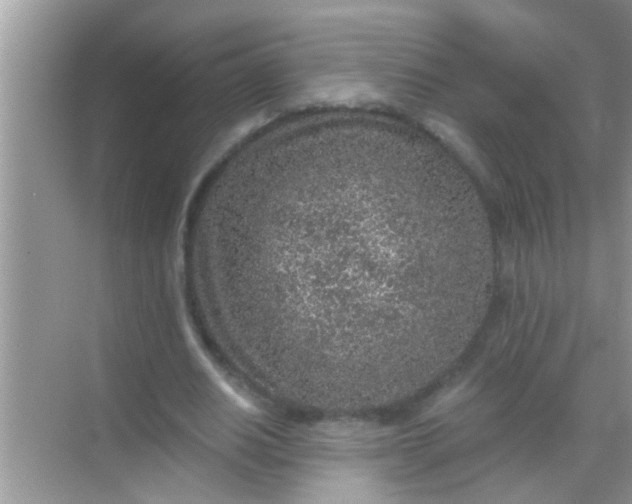 X0000068280630200605051842