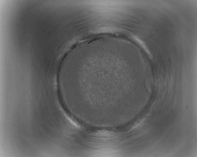 X0000068280633200605051842