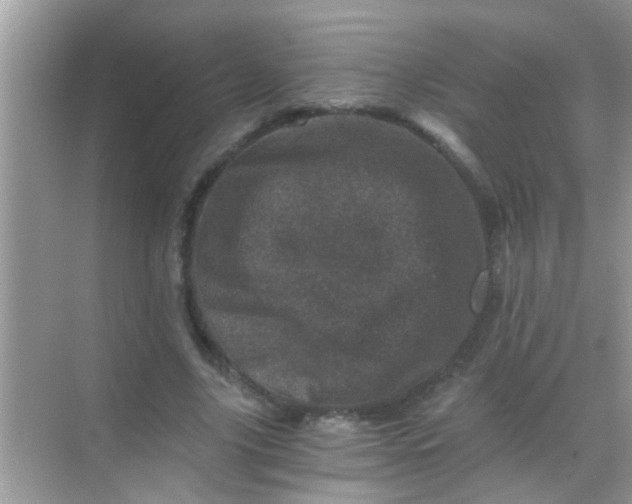 X0000068280635200605051842