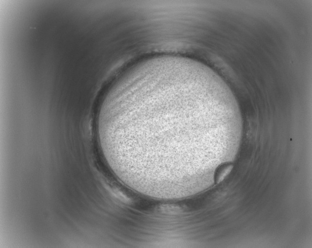 X0000068280636200605051842