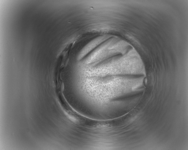 X0000068280638200605051842