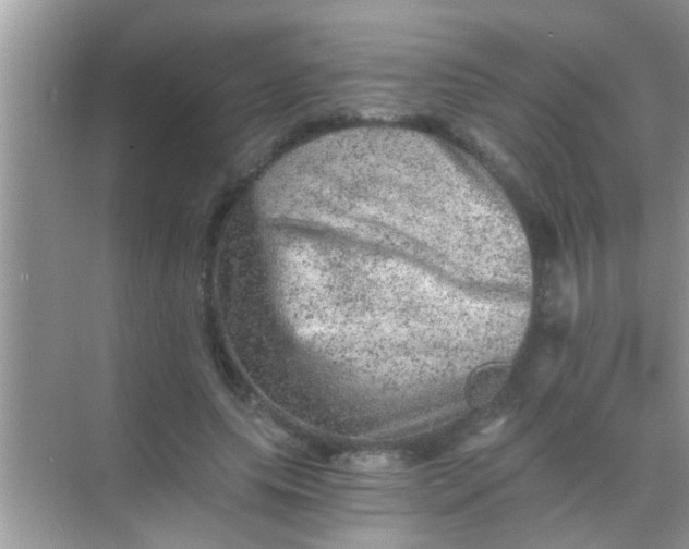 X0000068280639200605051842