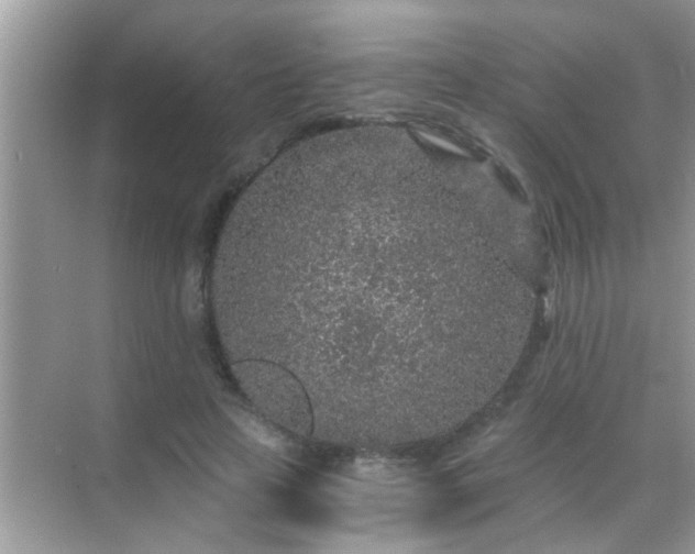 X0000068280641200605051842