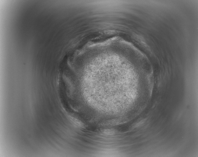 X0000068280645200605051842