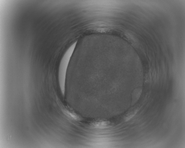 X0000068280646200605051842