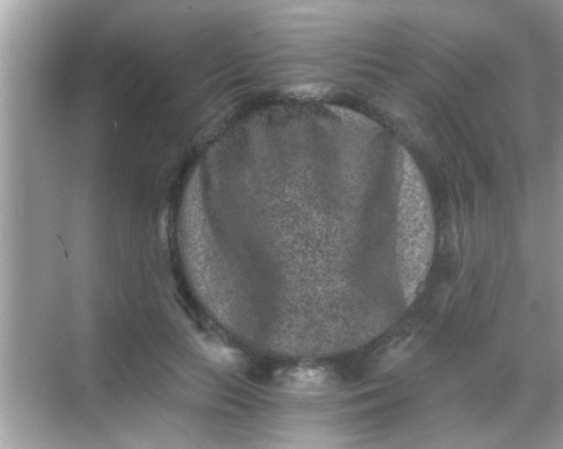 X0000068280647200605051842