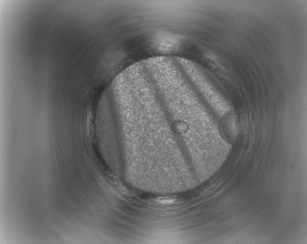 X0000068280651200605051843