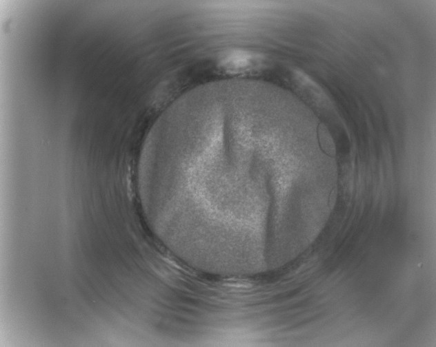 X0000068280653200605051843