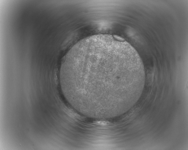 X0000068280654200605051843