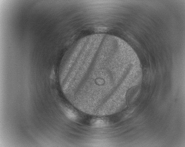 X0000068280655200605051843