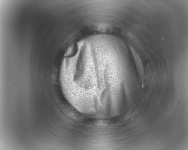 X0000068280656200605051843