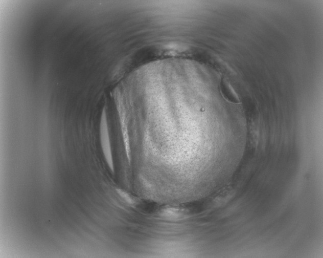 X0000068280657200605051843