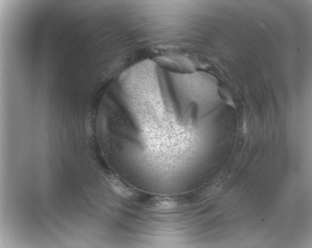 X0000068280658200605051843