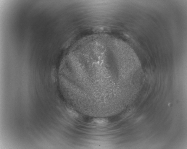 X0000068280659200605051843