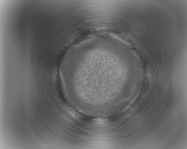 X0000068280660200605051843