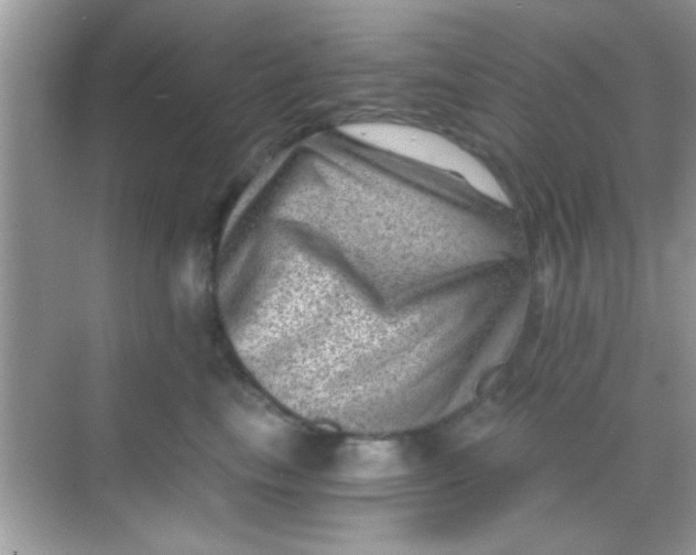 X0000068280665200605051843