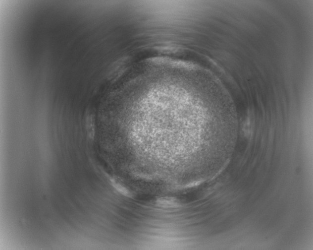 X0000068280666200605051843